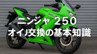 ガレージのシャッター前にたたずむ、Kawasakiニンジャ250ライムグリーン